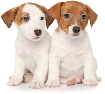 Donate with kindness